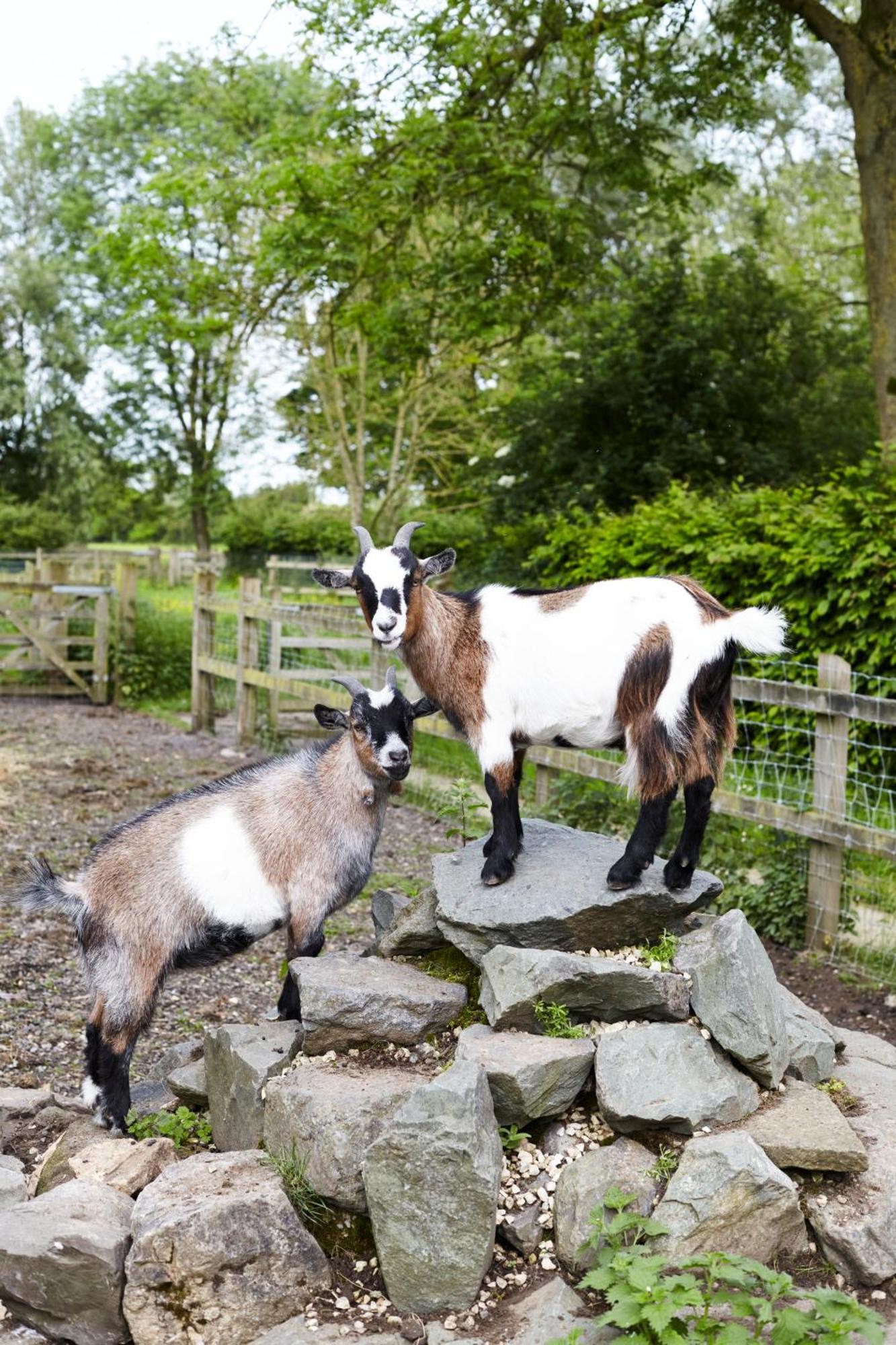 Paradise Farm Halesworth Kültér fotó
