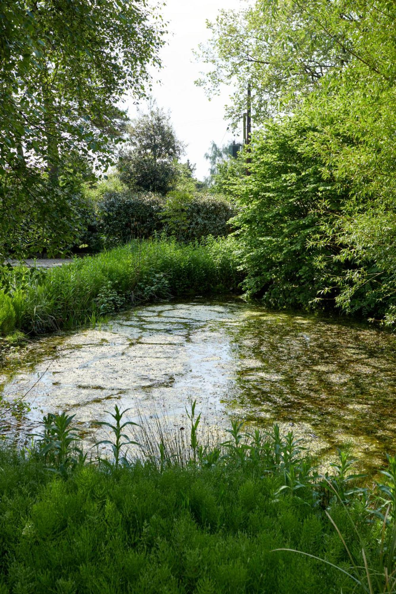 Paradise Farm Halesworth Kültér fotó